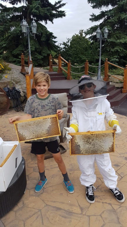 Hi Rise Honey Harvesters | High Rise Honey: Bringing Honey Bee ...